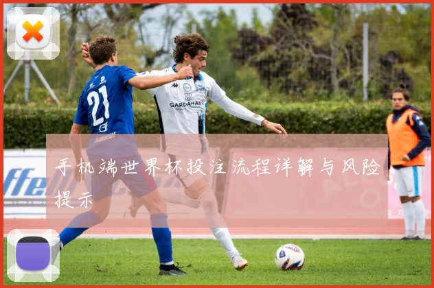 手机端世界杯投注流程详解与风险提示