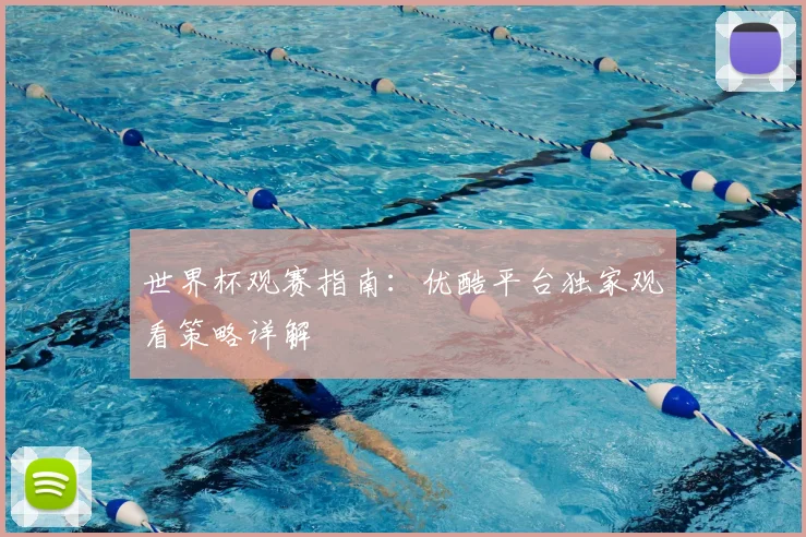 世界杯观赛指南:优酷平台独家观看策略详解