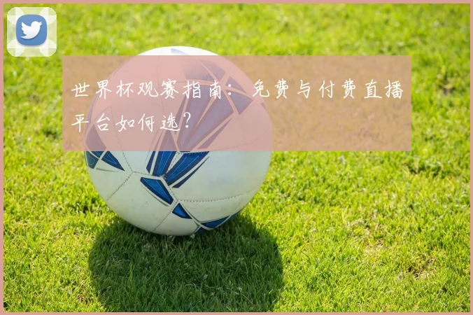 世界杯观赛指南：免费与付费直播平台如何选？