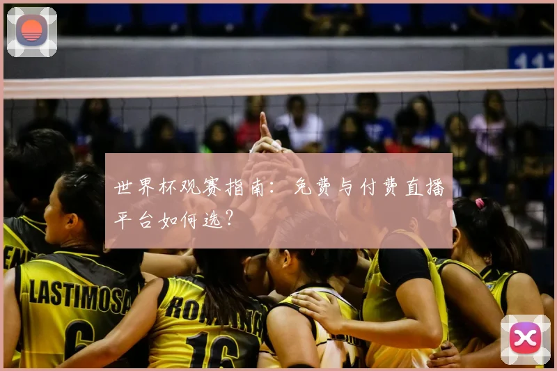 世界杯观赛指南:免费与付费直播平台如何选?