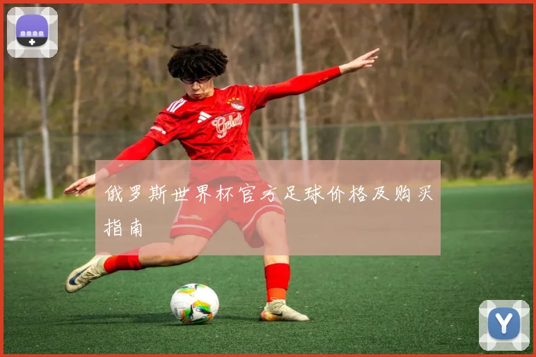 俄罗斯世界杯官方足球价格及购买指南