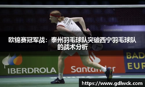 欧锦赛冠军战：泰州羽毛球队突破西宁羽毛球队的战术分析